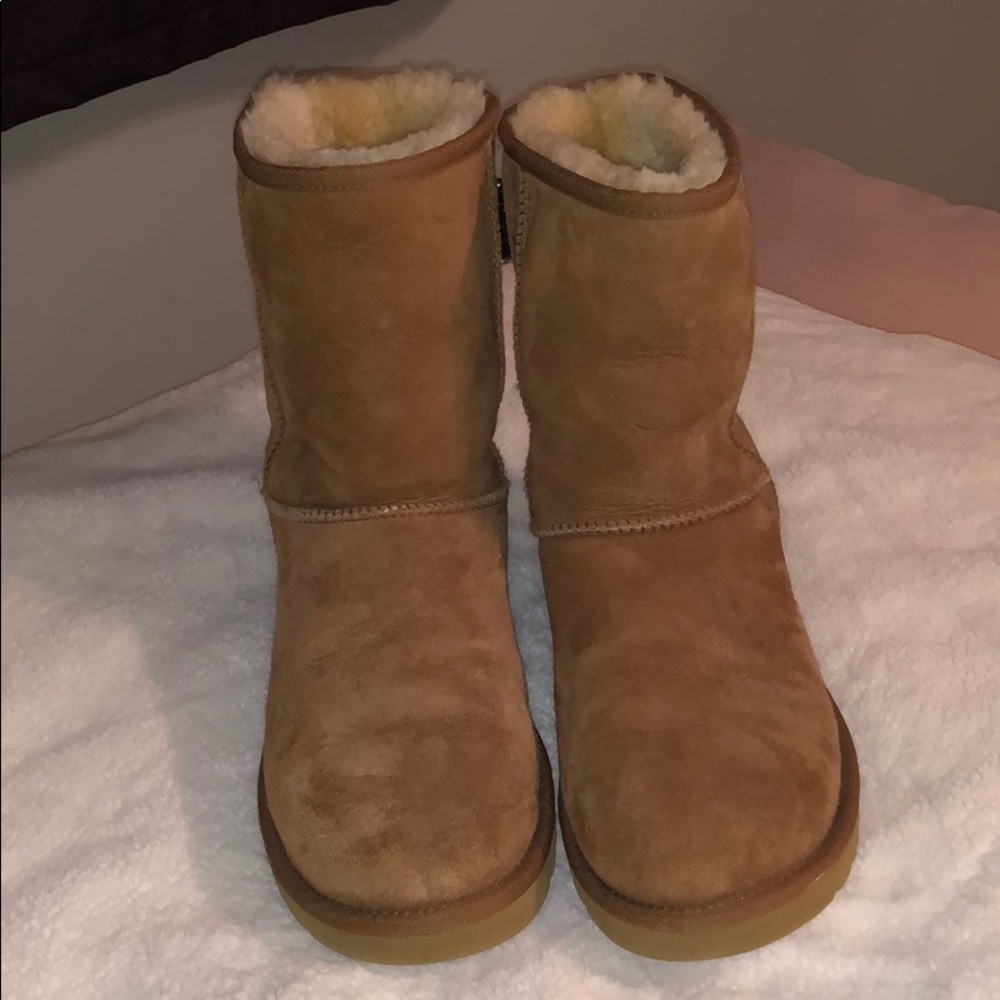 Chestnut Ugg boots